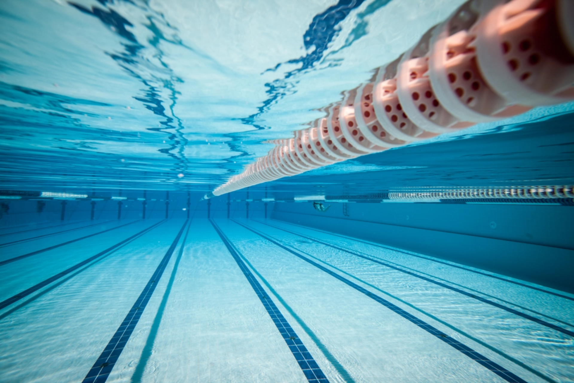 Onderwaterfoto van een zwembad - Stockfoto - Gemeente Leiden class=